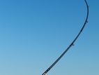 Carbon Fishing Rod