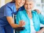 Caregiver Daily Service