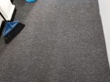 Carpet Loop Pile