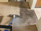 Carpet Shampoo Cleaning