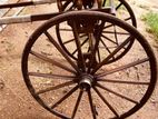 Bullock Cart