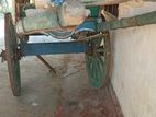 Bullock Cart