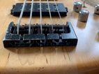 Carvin LB75 Bass Guitar (USA)