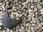 Cashew Nuts