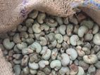 Cashew Seed