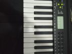 Casio Ctk 250 Organ