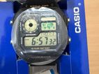 CASIO