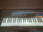 Casio Key Lighting System Ctk220l