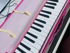 Casio Melodian 37 keys