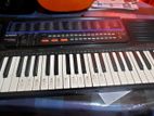 Casio Organ