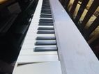 Casio Privia PX-150 Digital Piano Keyboard