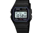 Casio Watch