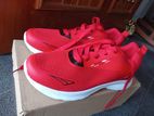 Casual Shoes