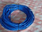 Cat 5 network cable