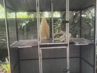 Cat and bird cage