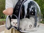 Cat Backpack