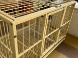 Cat Cage