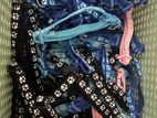 Cat Collars