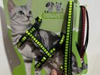Cat Harness