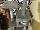 Cat Play House