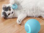 Cat Toys