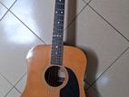 Cats Eye Acoustic Guitar