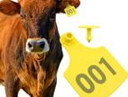 Cattle Ear Tag