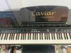 Caviar Piano