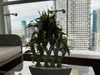 CCC - 02 Bedroom Furnished Apartment for Sale in Colombo (A184)