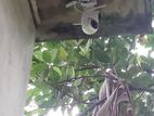 Cctv Camera Installation Maintenance