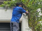 Cctv Camera Maintenance Service