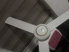 Ceiling Fans