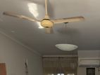 Ceiling fan