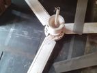 Ceiling Fans