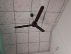 Ceiling Panel Services