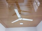 Ceiling Works