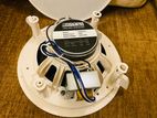 Ceiling Speaker
