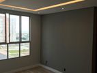 Ceiling Work