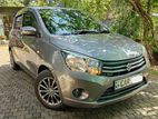 Celerio Auto Car for Rent