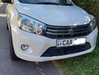 Suzuki Celerio Car for Rent