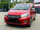 Celerio for Rent