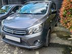 Suzuki Celerio for Rent