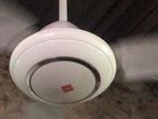 Celing Fan