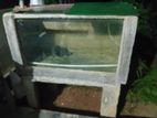 Cement Tank Side Glassed