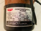 Centric 0.75HP Water Pump | Jinasena