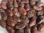 Ceylon Cocoa Beans
