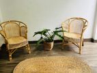 Cane Chairs