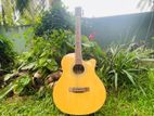 Chard Japanese F Cut Accoustics Box Guitar