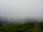 Chariot Path road wedamulla nuwaraeliya