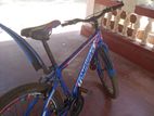 Tomahwk Bicycle